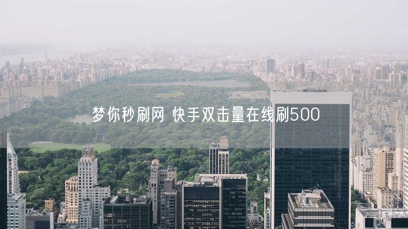 梦你秒刷网 快手双击量在线刷500