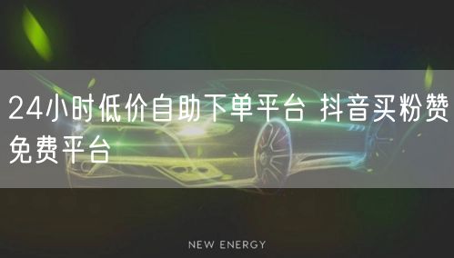 24小时低价自助下单平台 抖音买粉赞免费平台