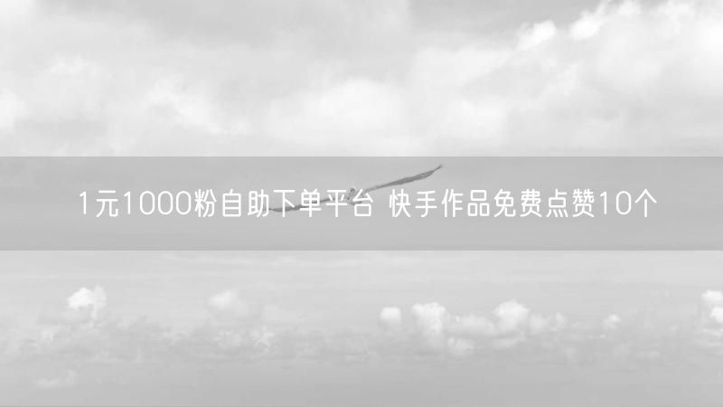 1元1000粉自助下单平台 快手作品免费点赞10个
