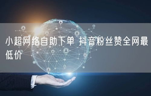 小超网络自助下单 抖音粉丝赞全网最低价