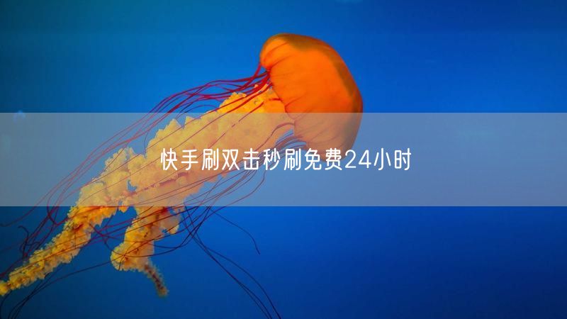 快手刷双击秒刷免费24小时