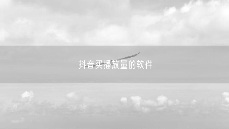 抖音买播放量的软件