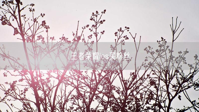 王者荣耀ios买粉丝