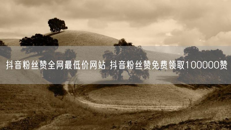 抖音粉丝赞全网最低价网站 抖音粉丝赞免费领取100000赞
