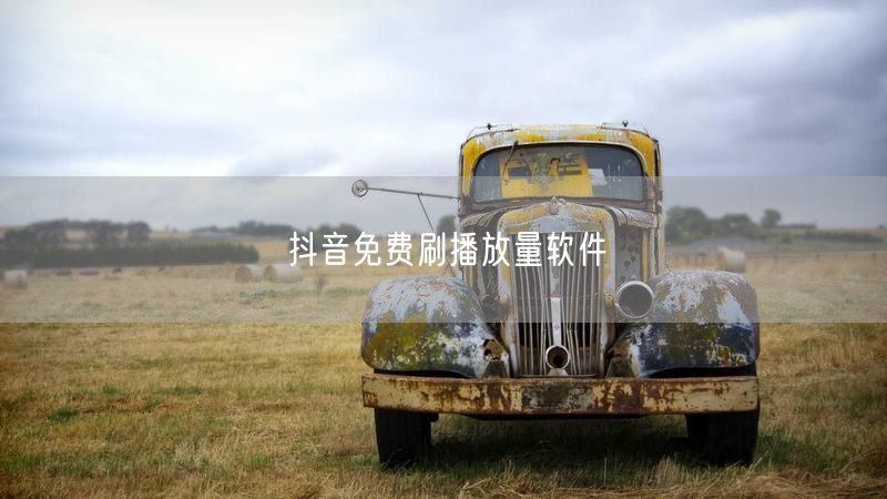 抖音免费刷播放量软件