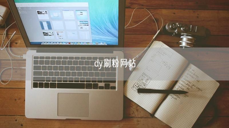 dy刷粉网站