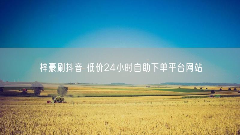 梓豪刷抖音 低价24小时自助下单平台网站
