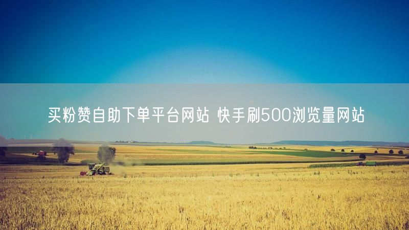 买粉赞自助下单平台网站 快手刷500浏览量网站