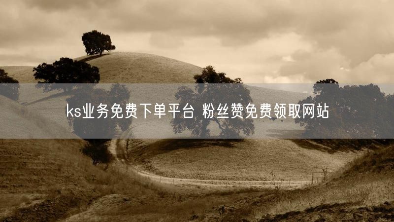 ks业务免费下单平台 粉丝赞免费领取网站