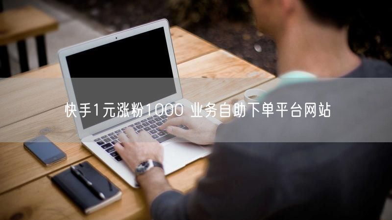 快手1元涨粉1000 业务自助下单平台网站