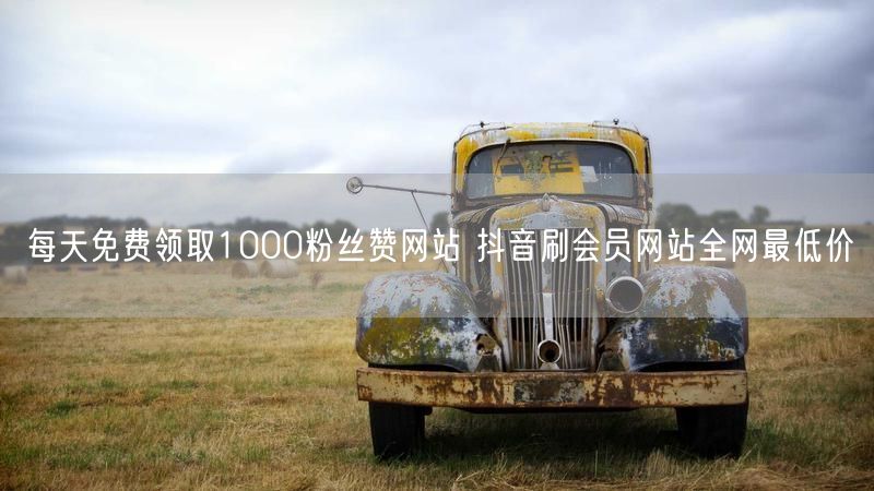 每天免费领取1000粉丝赞网站 抖音刷会员网站全网最低价