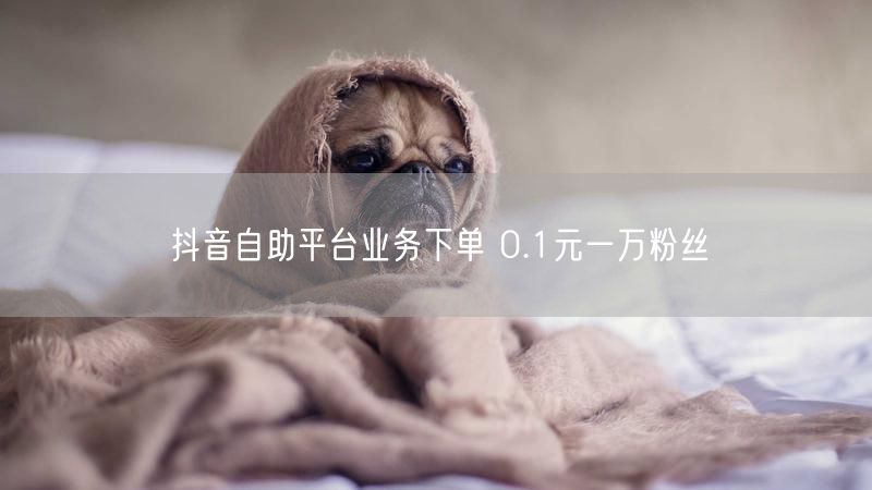 抖音自助平台业务下单 0.1元一万粉丝