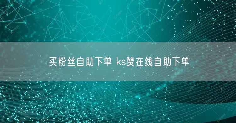 买粉丝自助下单 ks赞在线自助下单