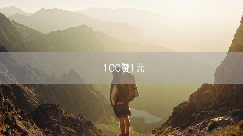 100赞1元