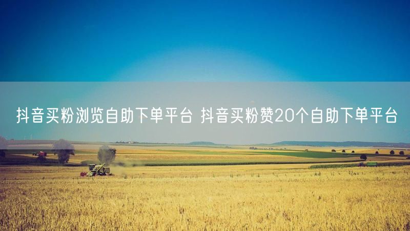 抖音买粉浏览自助下单平台 抖音买粉赞20个自助下单平台