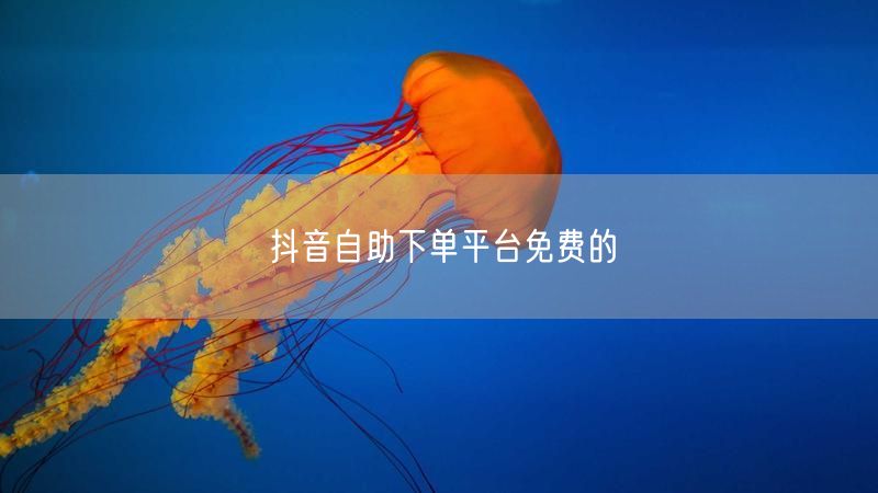 抖音自助下单平台免费的