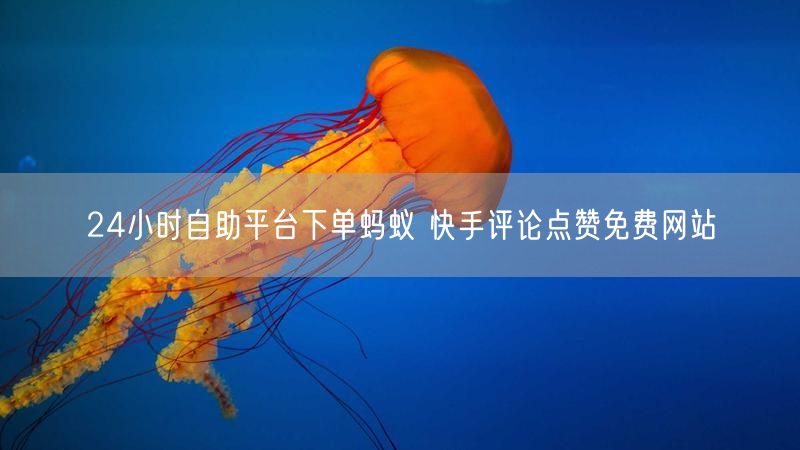 24小时自助平台下单蚂蚁 快手评论点赞免费网站