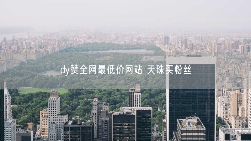 dy赞全网最低价网站 天珠买粉丝