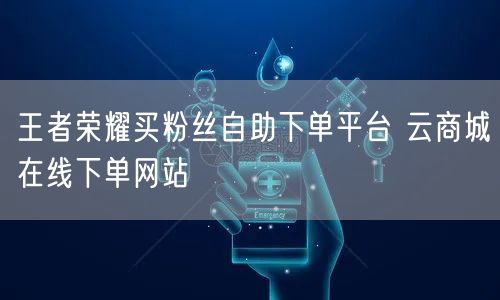 王者荣耀买粉丝自助下单平台 云商城在线下单网站
