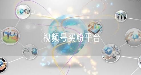 视频号买粉平台