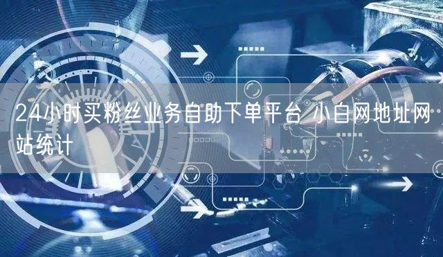 24小时买粉丝业务自助下单平台 小白网地址网站统计