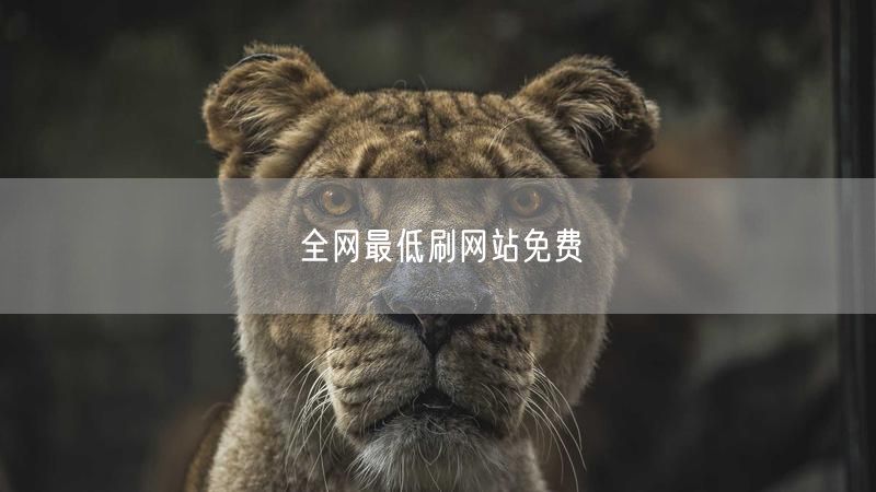 全网最低刷网站免费