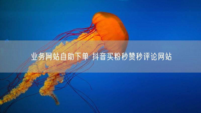业务网站自助下单 抖音买粉秒赞秒评论网站