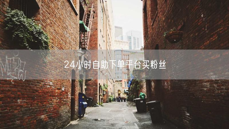 24小时自助下单平台买粉丝