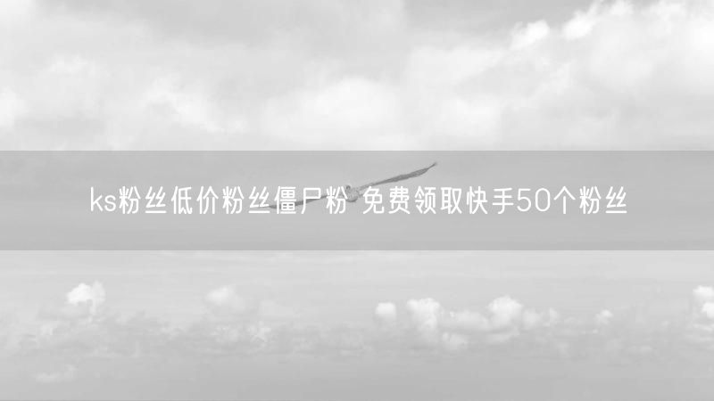 ks粉丝低价粉丝僵尸粉 免费领取快手50个粉丝