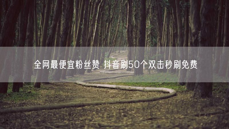 全网最便宜粉丝赞 抖音刷50个双击秒刷免费