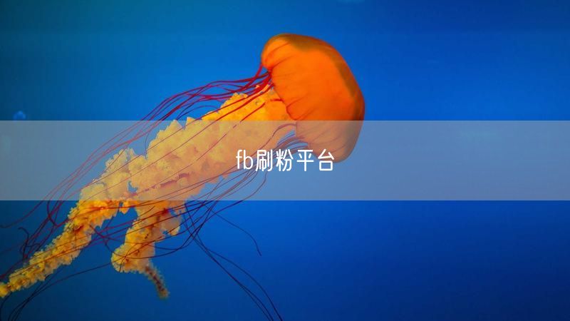 fb刷粉平台