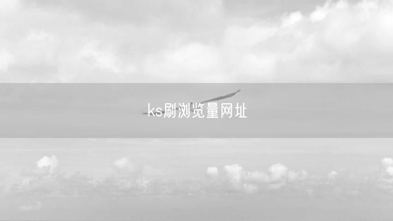 ks刷浏览量网址