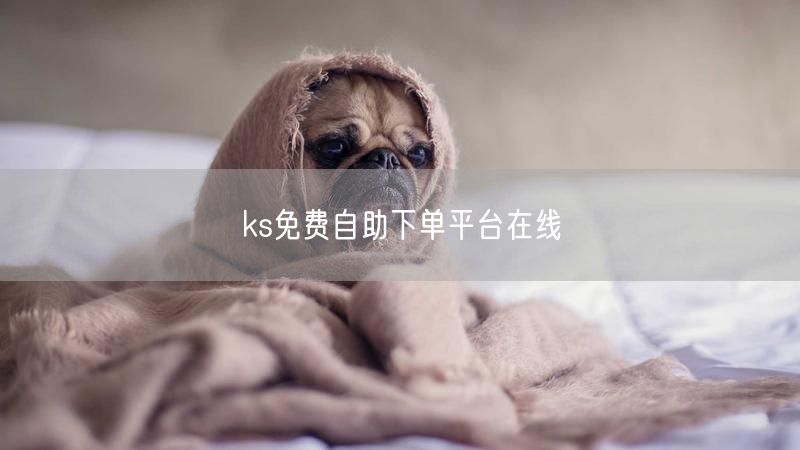 ks免费自助下单平台在线