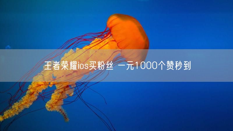 王者荣耀ios买粉丝 一元1000个赞秒到
