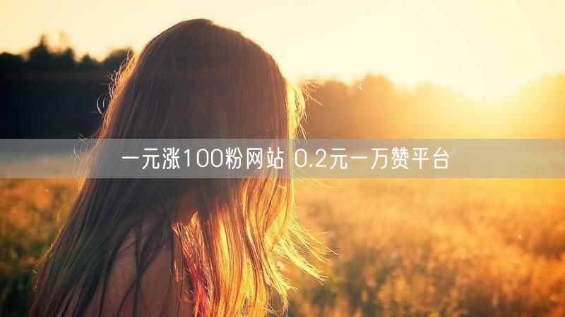 一元涨100粉网站 0.2元一万赞平台