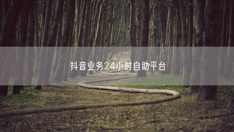 抖音业务24小时自助平台