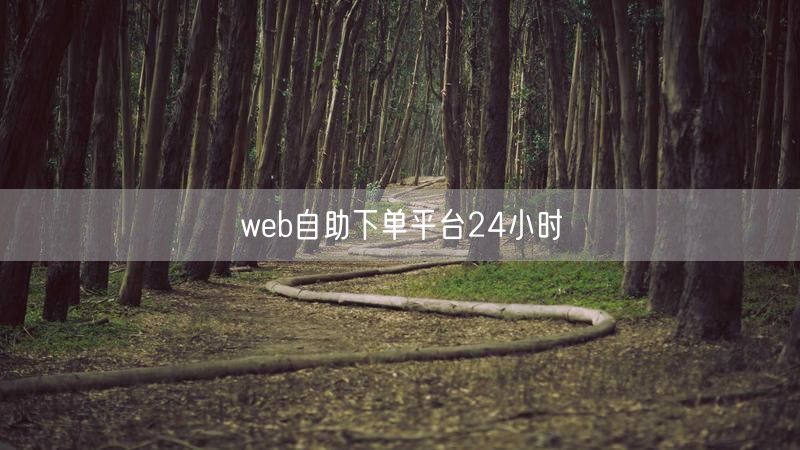 web自助下单平台24小时