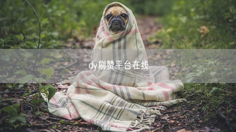 dy刷赞平台在线