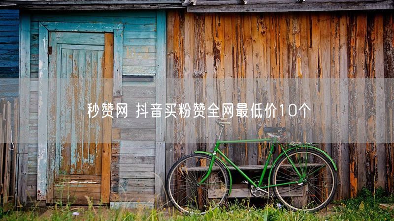 秒赞网 抖音买粉赞全网最低价10个