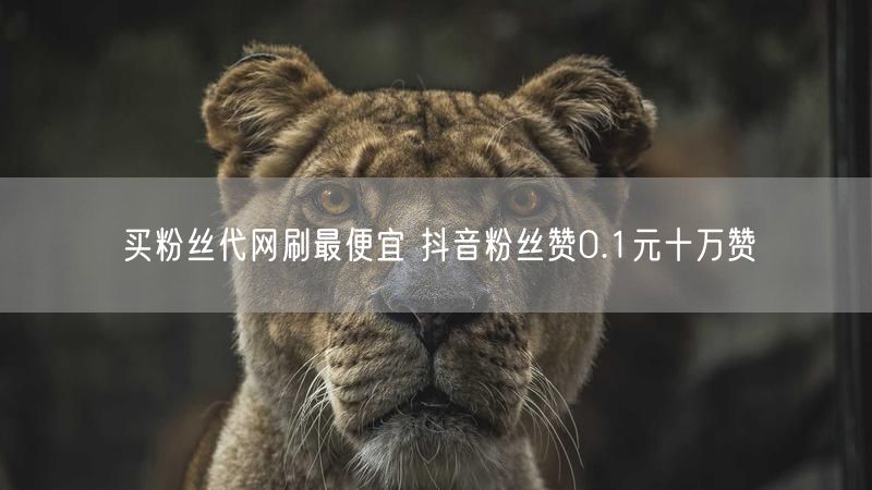 买粉丝代网刷最便宜 抖音粉丝赞0.1元十万赞