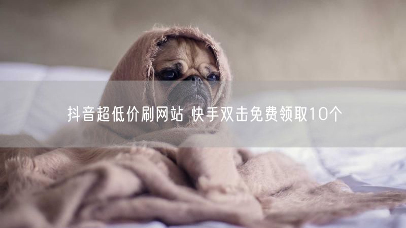 抖音超低价刷网站 快手双击免费领取10个
