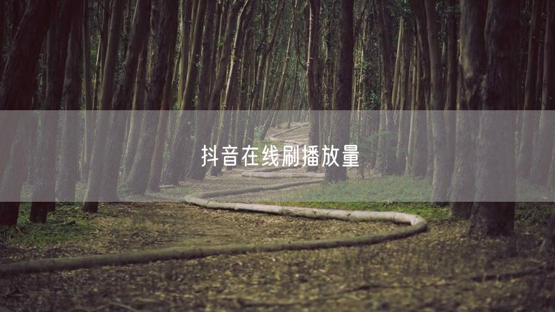 抖音在线刷播放量