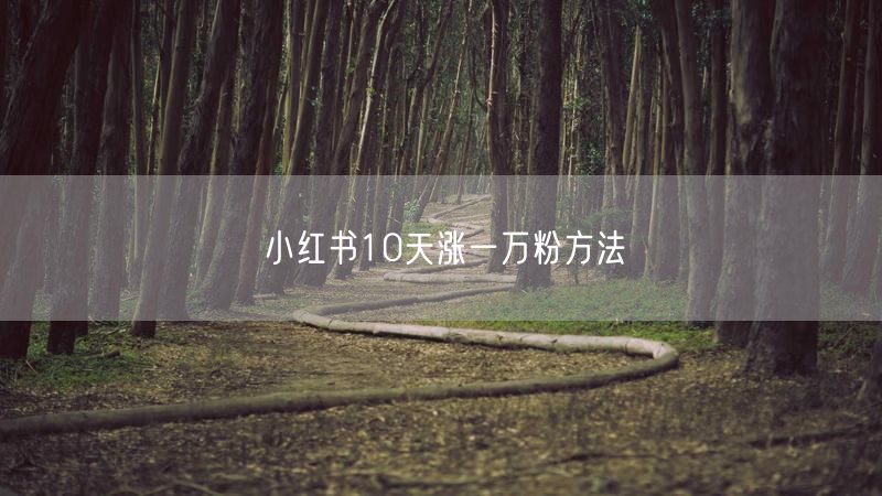 小红书10天涨一万粉方法
