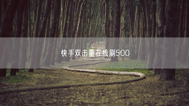 快手双击量在线刷500