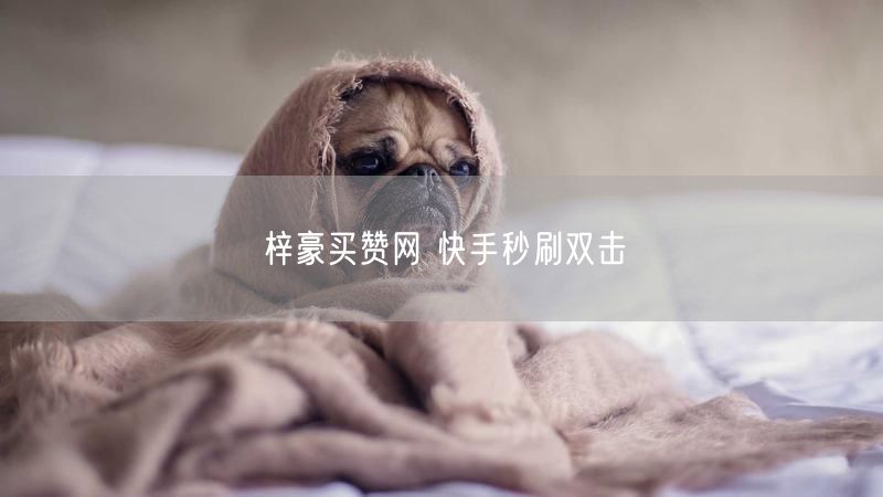 梓豪买赞网 快手秒刷双击