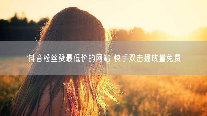 抖音粉丝赞最低价的网站 快手双击播放量免费