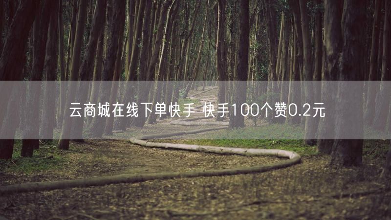 云商城在线下单快手 快手100个赞0.2元