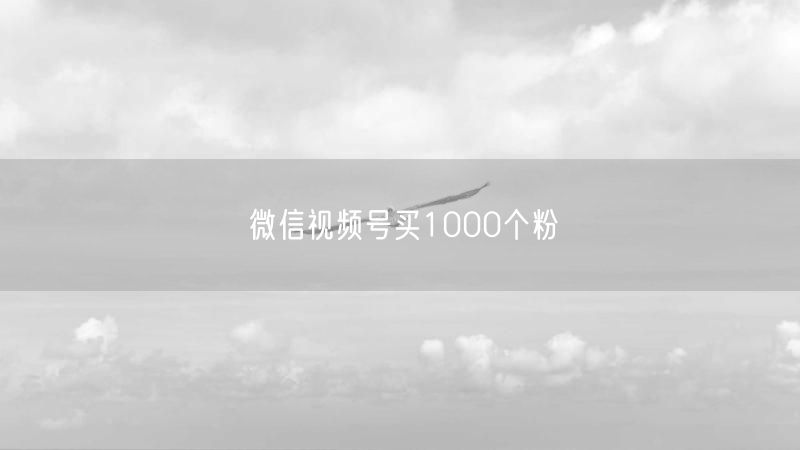 微信视频号买1000个粉