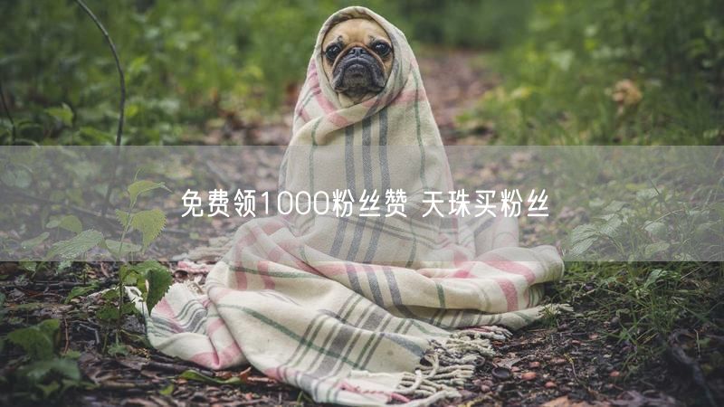 免费领1000粉丝赞 天珠买粉丝