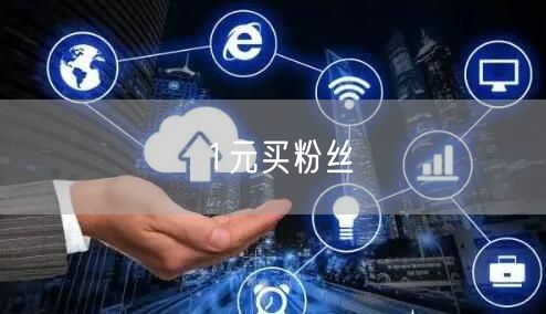 1元买粉丝